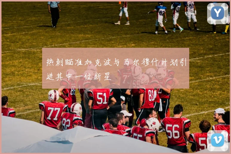 热刺瞄准加克波与马尔穆什计划引进其中一位新星